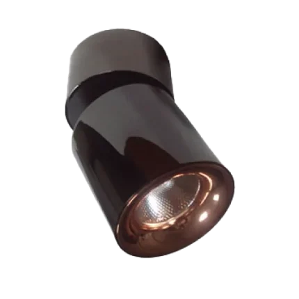 Spot encastrable LS61310D