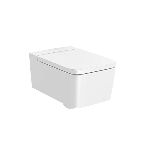 CUVETTE DE WC SUSPENDUE SQUARE SANS BRIDE RIMLESS CUVETTE DE WC SUSPENDUE SQUARE SANS BRIDE RIMLESS